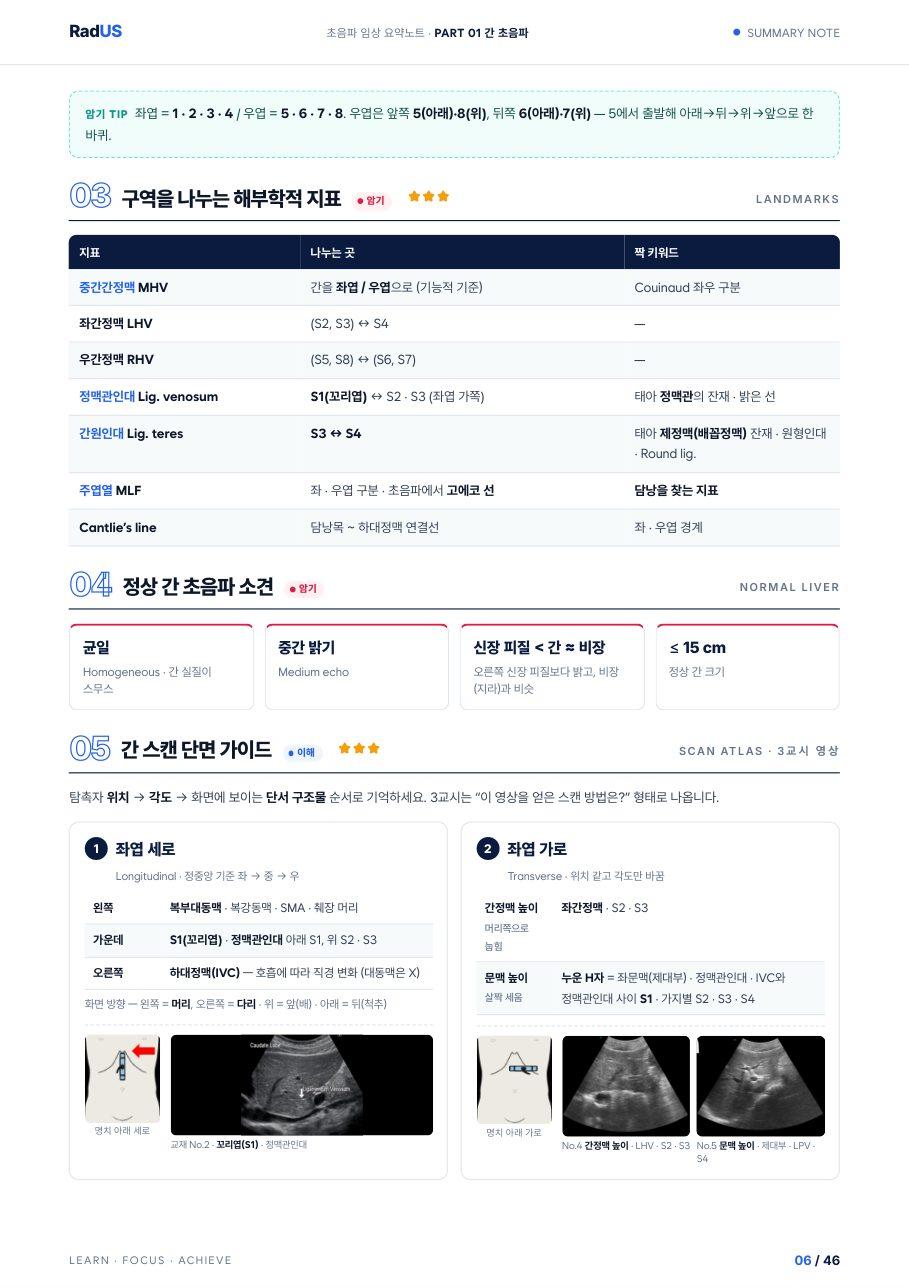 임상 노트 본문 — 간 스캔 단면 가이드